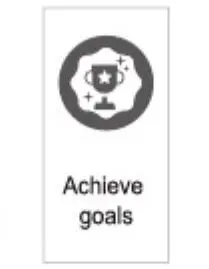 FIG 12 Achieve goals
