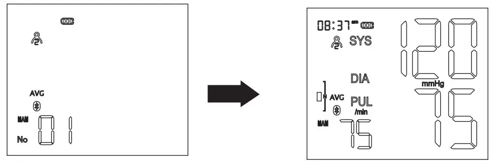 Memory Check and Last 3 Tests Average