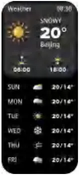 FreeYond 2303007W Smart Band Watch - Weather