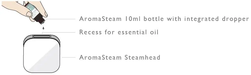 Mr-Steam-104006-Chakra-Blend-Essential-Oils-fig-1