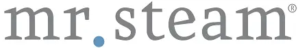 Mr-Steam-logo