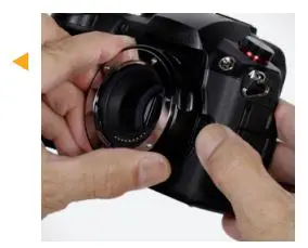 VELLO LAE-MFT-FT Auto Lens Adapter User Manual - Press and hold the lens release button on the camera