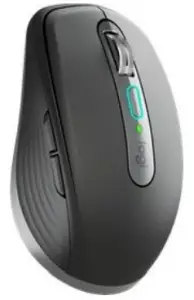 a close up of a mouse