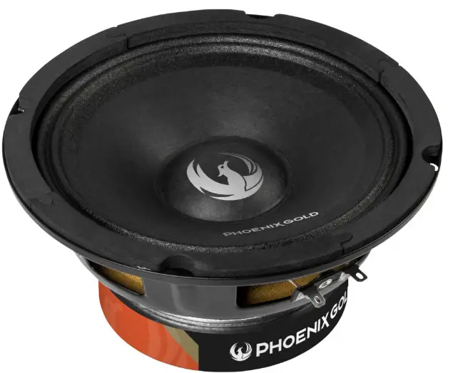 PHOENIX GOLD ZPRO36BT PRO Audio Speakers pro