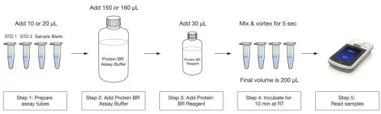 ThermoFisher SCIENTIFIC Q33230 Qubit Assay Protocol - Qubit Protein