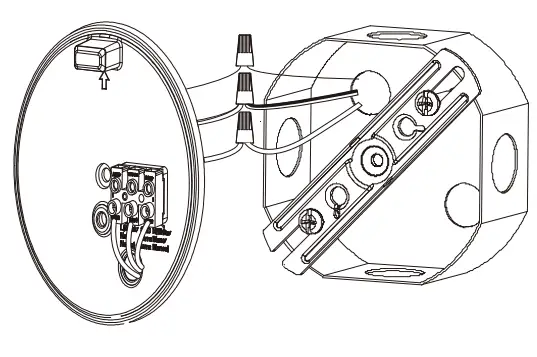 globe GE50240 Smart Wi-Fi LED Outdoor - fig5