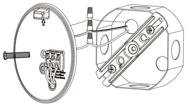globe GE50240 Smart Wi-Fi LED Outdoor - fig6