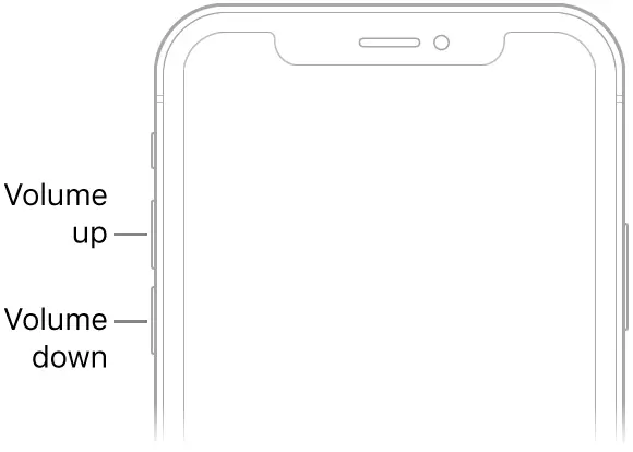 The upper portion of the front of iPhone with the volume up and volume down buttons on the upper left.