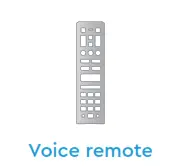 Voice remote