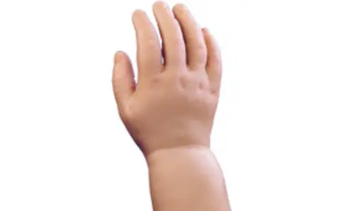 Ottobock 8s7, 8s8, 8s9 Passive Inner Hand Instruction Manual