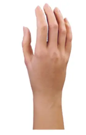 ottobock-8S7,-8S8,-8S9-Passive-Inner-Hand-product-image