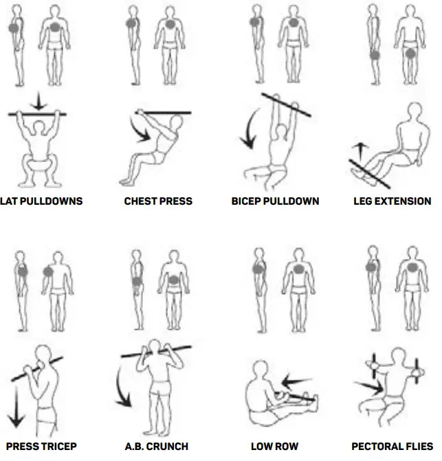 FITFIU GYM 100 Fitness Multi Station Machine - Figure 19