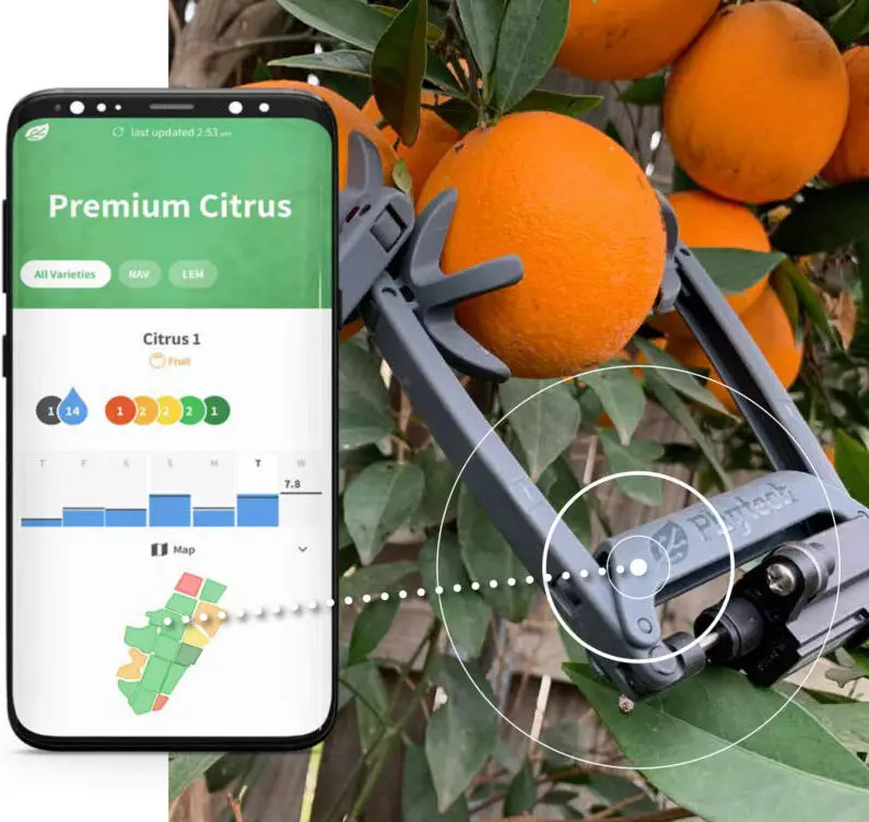 Phytech New Generation 300 Sensor-FIG1