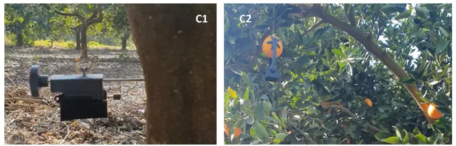 Phytech New Generation 300 Sensor-FIG3