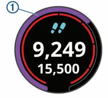 Garmin Approach S40-12