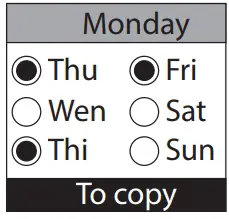 Days Program Copy Example