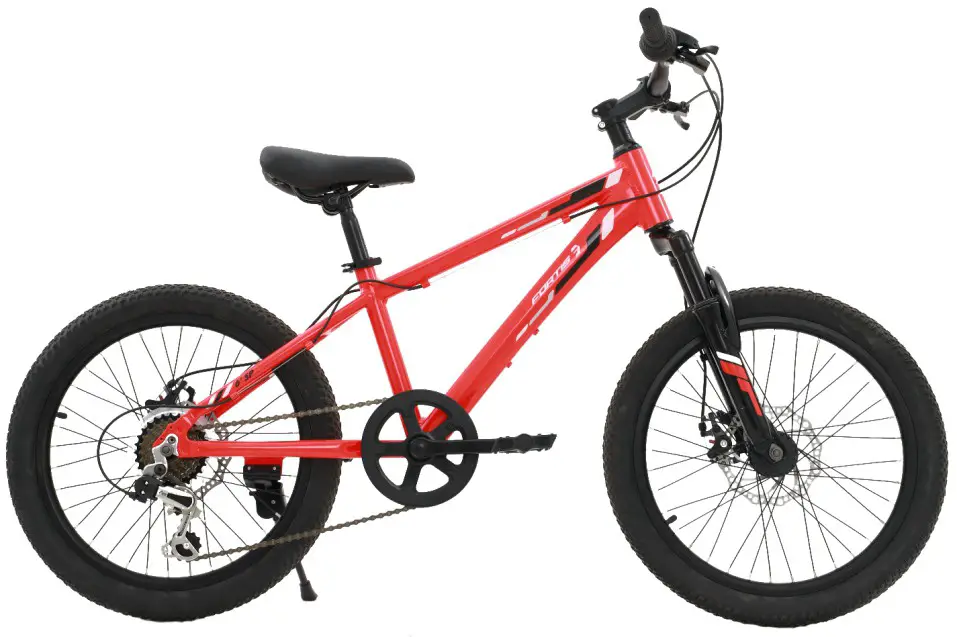 FORTIS BAI SAIKAL --