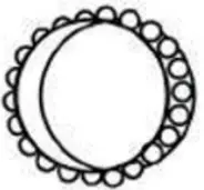 FORTIS BAI SAIKAL --Bearings