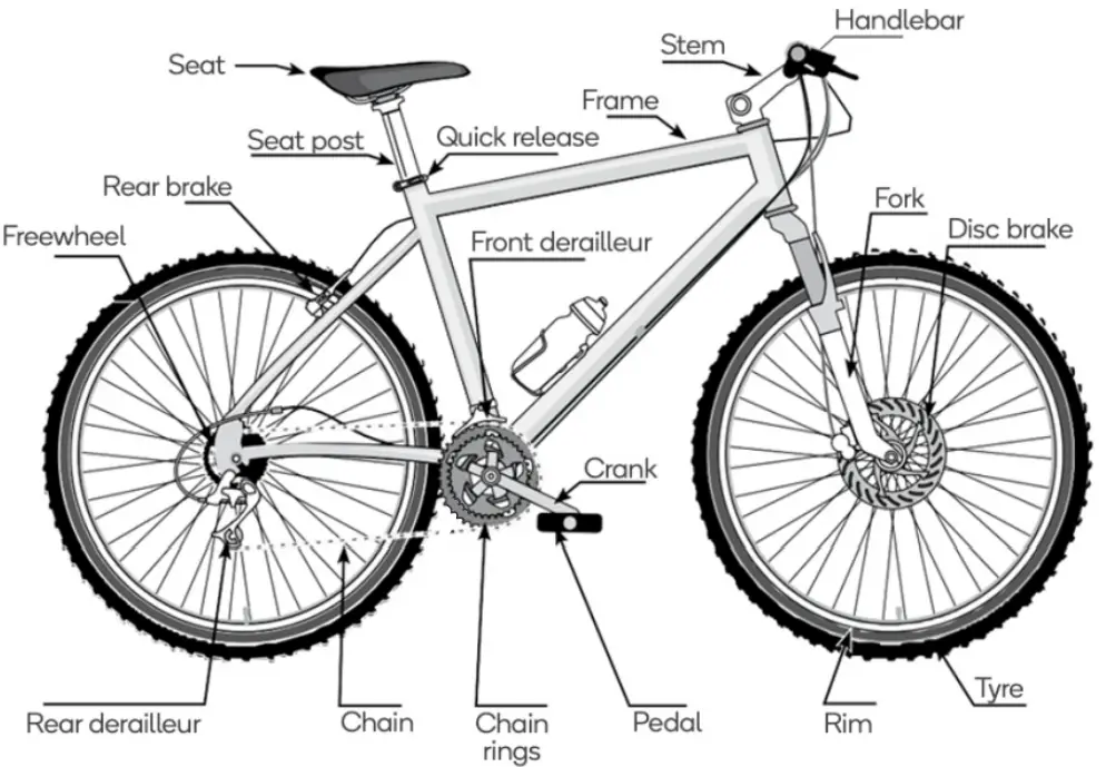 FORTIS BAI SAIKAL --Bike
