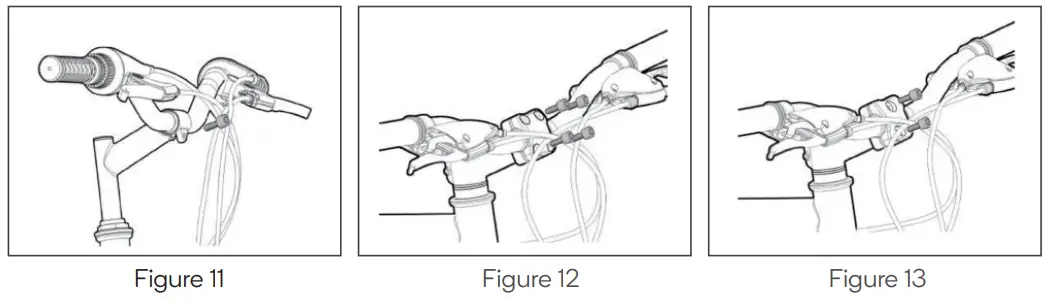 FORTIS BAI SAIKAL --Figure
11
