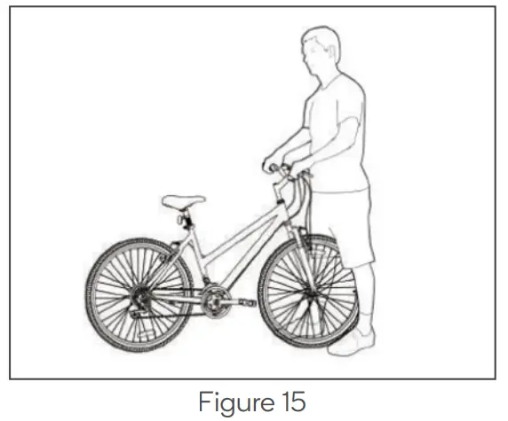 FORTIS BAI SAIKAL --Figure
15