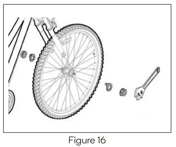 FORTIS BAI SAIKAL --Figure
16