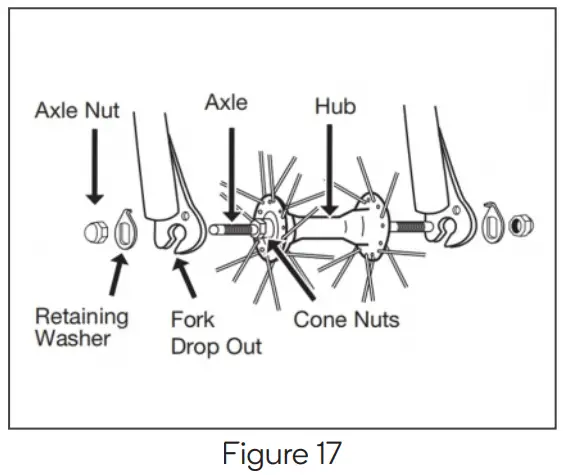 FORTIS BAI SAIKAL --Figure
17