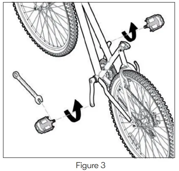 FORTIS BAI SAIKAL --Figure
3