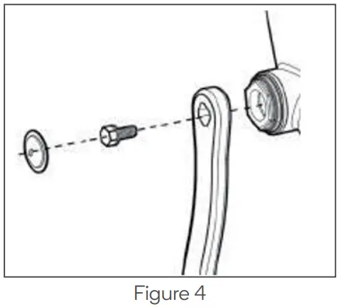 FORTIS BAI SAIKAL --Figure
4