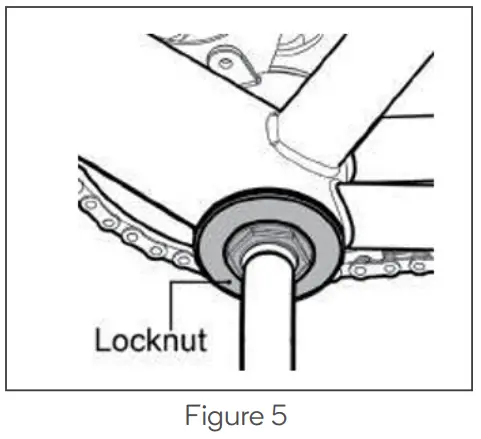 FORTIS BAI SAIKAL --Figure
5