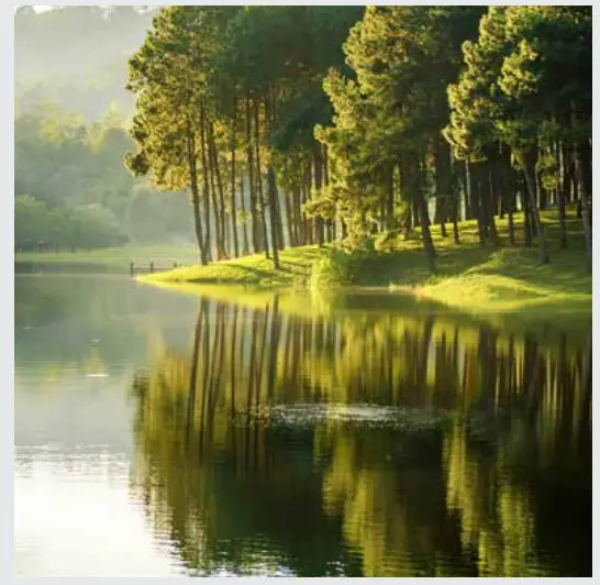 AIRMAX SW20HPSW40HP Shallow Water Pond Aerator System -OVER VEW