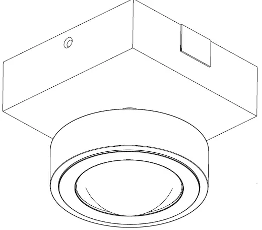 Paul Neuhaus 9186-13 Q-Mia Ceiling Light 05