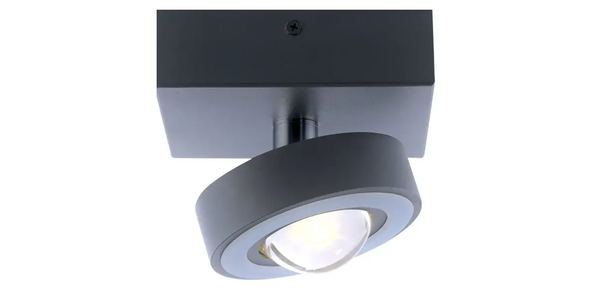 Paul Neuhaus 9186-13 Q-mia Ceiling Light Instruction Manual