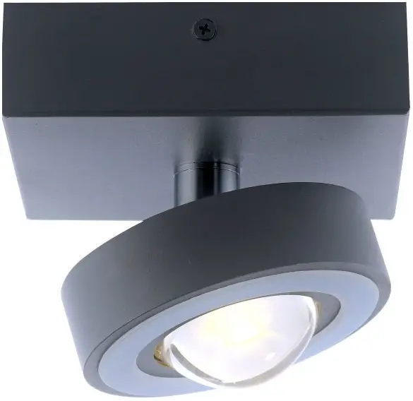 Paul Neuhaus 9186-13 Q-Mia Ceiling Light product