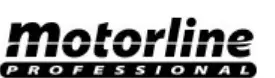 motorline-PROFESSIONAL-LOGO