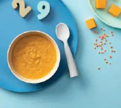 nutribullet NBY100 Blender Bullet Baby-9