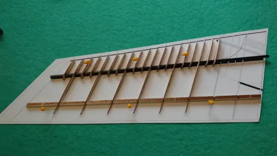 ANGELWING SOAS SUB 250g - 10