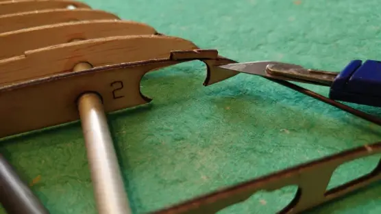 ANGELWING SOAS SUB 250g - 19