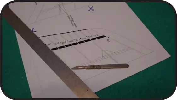 ANGELWING SOAS SUB 250g - 3