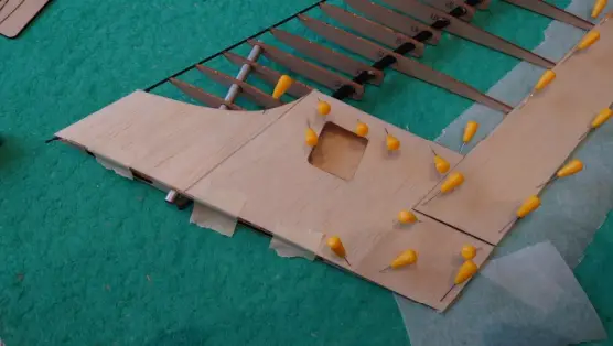 ANGELWING SOAS SUB 250g - 31