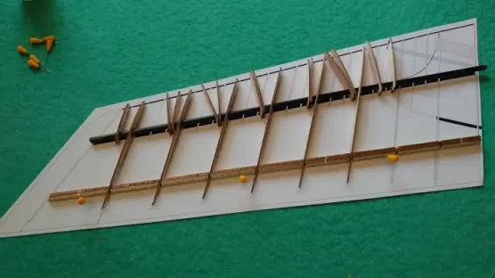 ANGELWING SOAS SUB 250g - 9