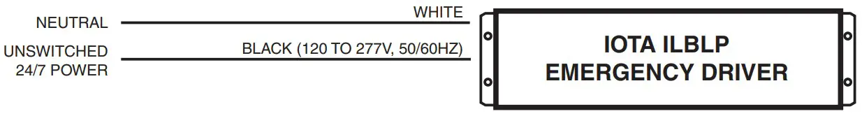 IOTA ILBLP CP15 HE SD LC Emergency LED Driver - AC INPUT