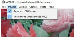How to use the program (Windows demo only)