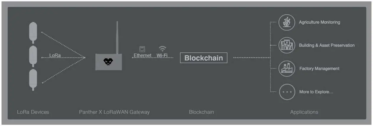 E Sun Electronics Panther X2 Hotspot fig1
