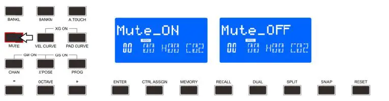 WORLDE-P-49-61-88-Pro-Midi-Controller-fig16