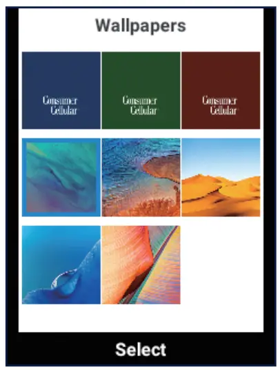 CUSTOMIZING THE HOME SCREEN