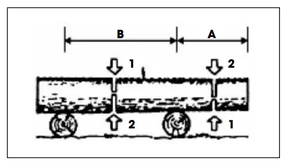 Log lying on the ground