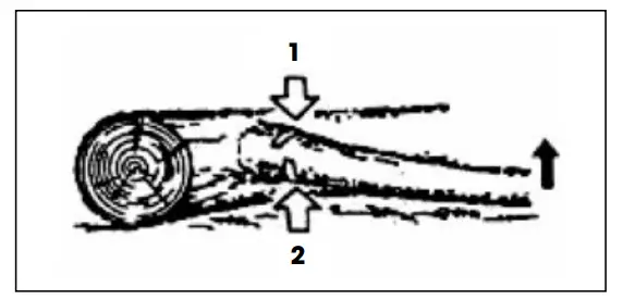 Removing a fallen tree