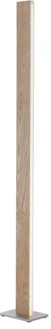 Paul Neuhaus 835004 Q-Timber LED Floor Lamp