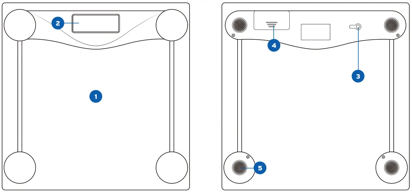 ETEKCITY Digital Body Weight Scale - Main Functions